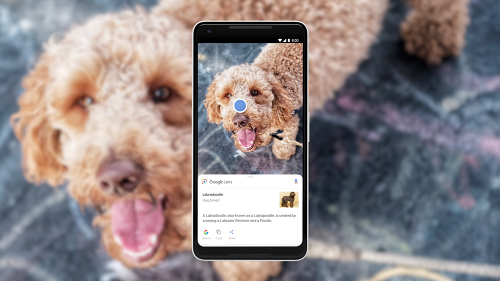 Como Usar o Google Lens no Chrome: Guia Completo e Detalhado